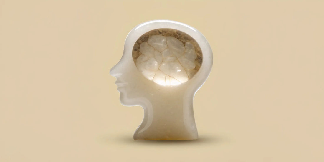 A clear sculpture of a head and brain representing the connection between postbiotics and mood balance.