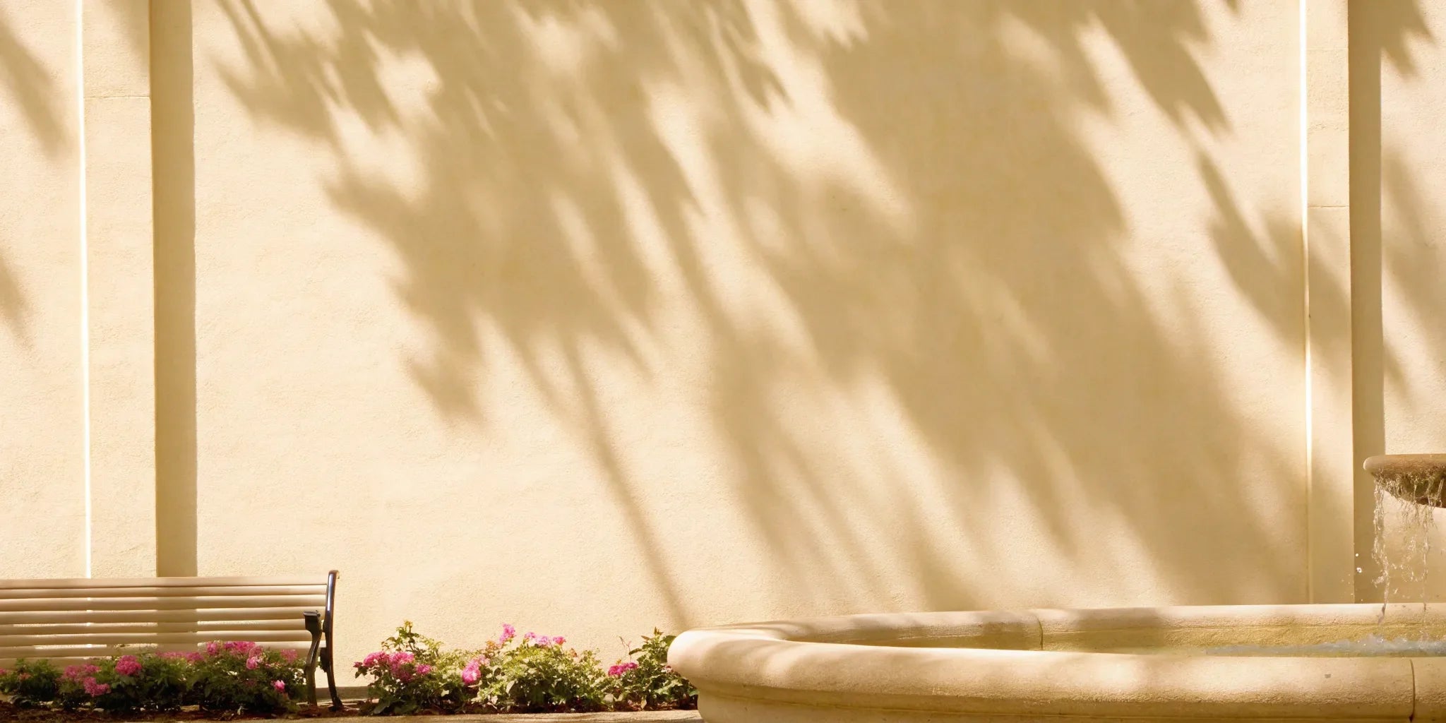 A calm garden with a bench, offering a path to relief from anxiety and depression.