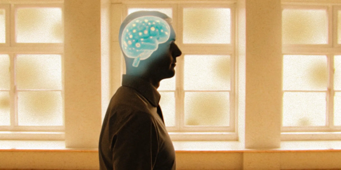 Man's silhouette with a highlighted gut-brain axis, linking gut health to mood and balance.