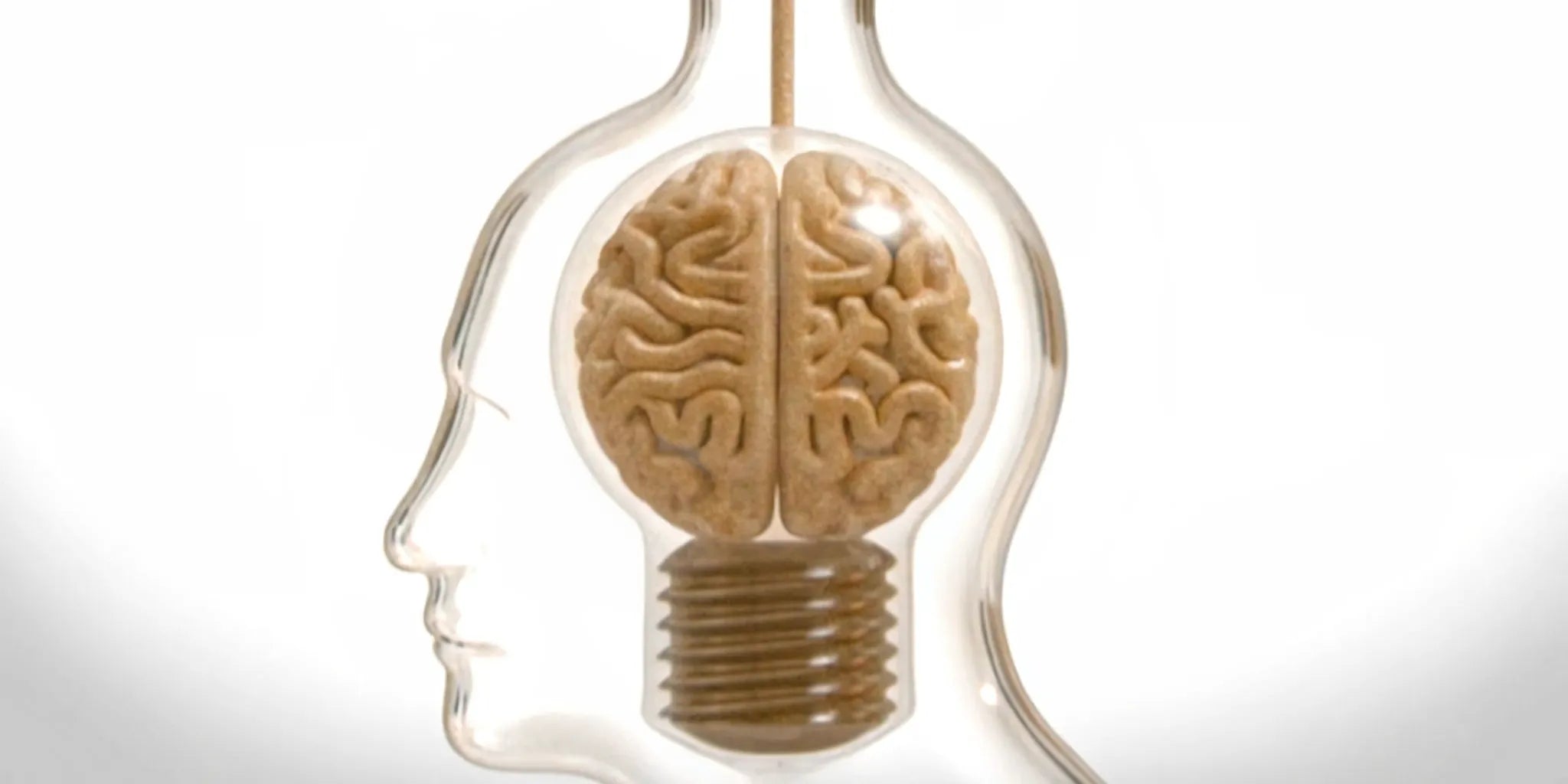 A brain inside a lightbulb, connecting postbiotics and the gut-brain axis to mental clarity.