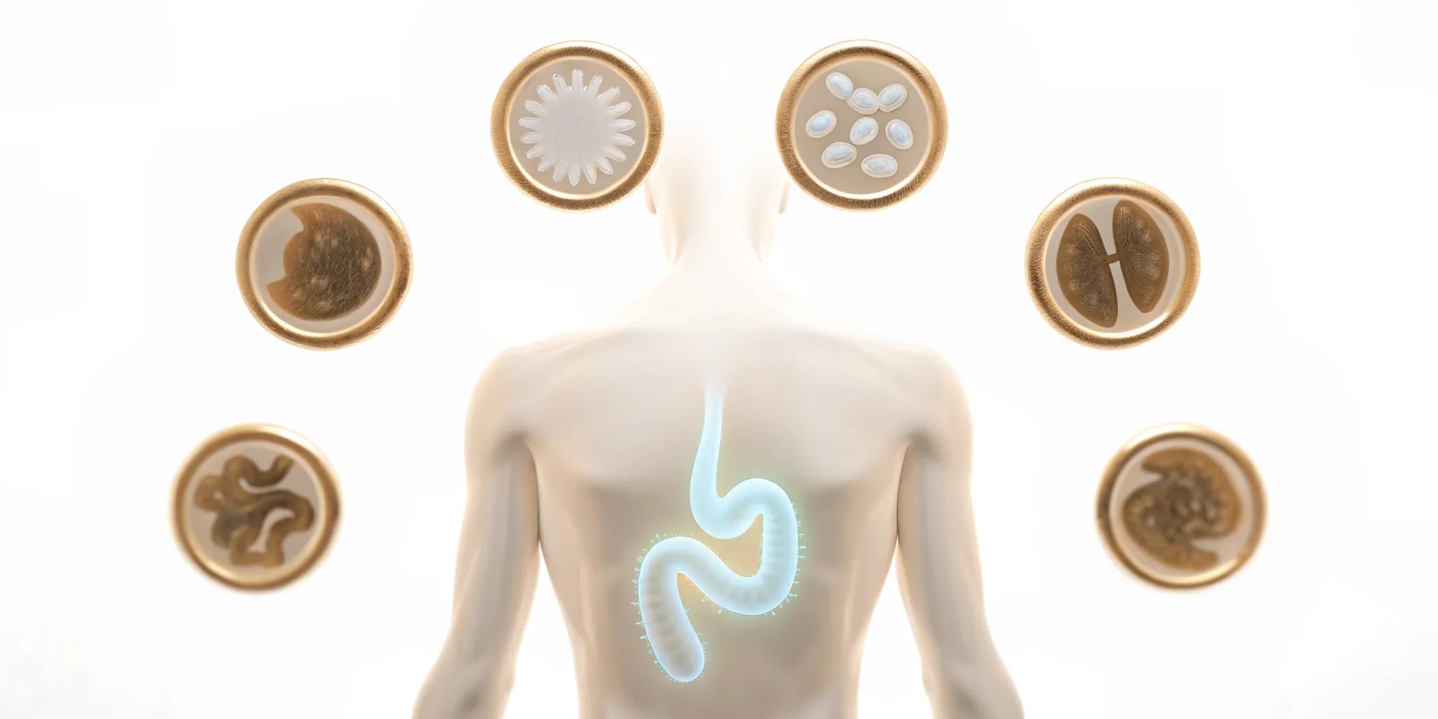 A healthy gut microbiome producing metabolites that provide benefits for the brain, heart, and immune system.