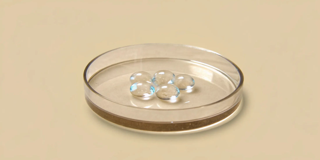 Purified postbiotic compounds in a petri dish for gut health.