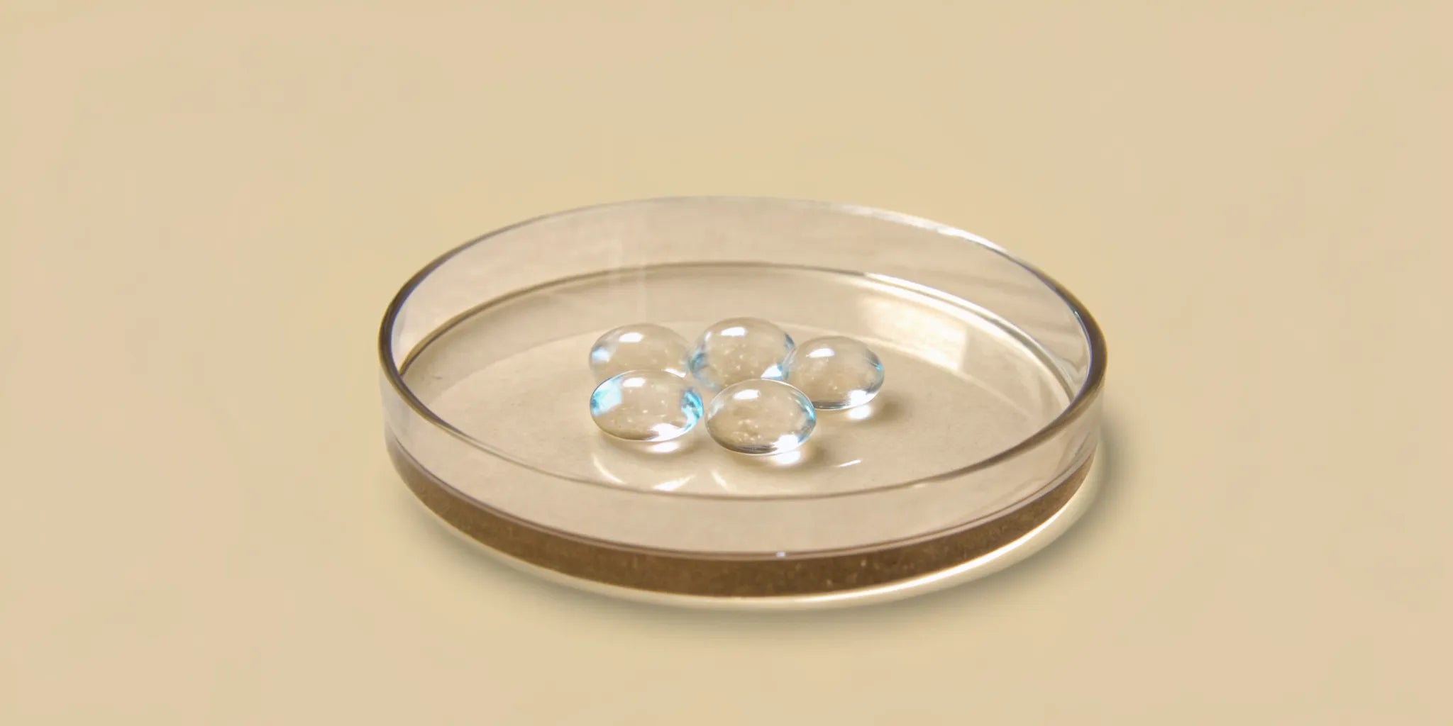 Purified postbiotic compounds in a petri dish for gut health.