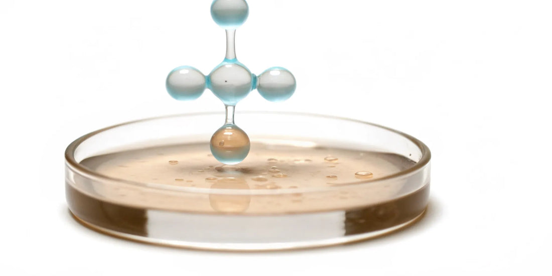 Postbiotic short chain fatty acids as a molecular structure in a petri dish.