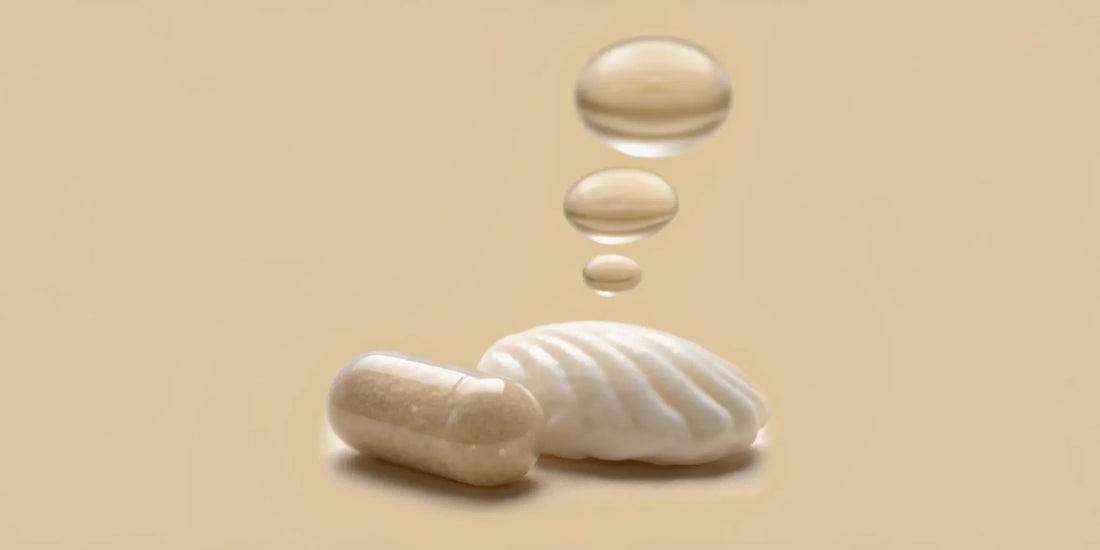 Abstract gut brain connection explaining what are postbiotics