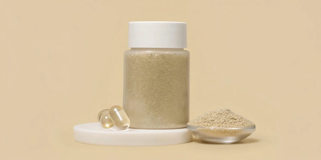 Postbiotic supplement powder and capsules in a jar for microbiome support.