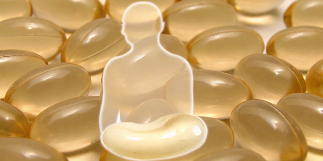 Postbiotic supplement capsules next to a human gut diagram, supporting overall gut health.