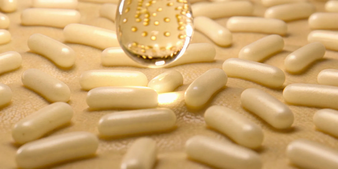 White postbiotic capsules and a golden liquid supplement for microbiome therapy and gut health.