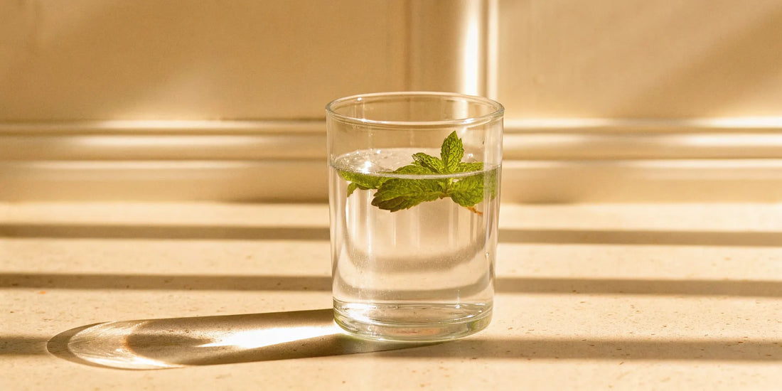 A glass of water and fresh mint leaves in serene morning sunlight.