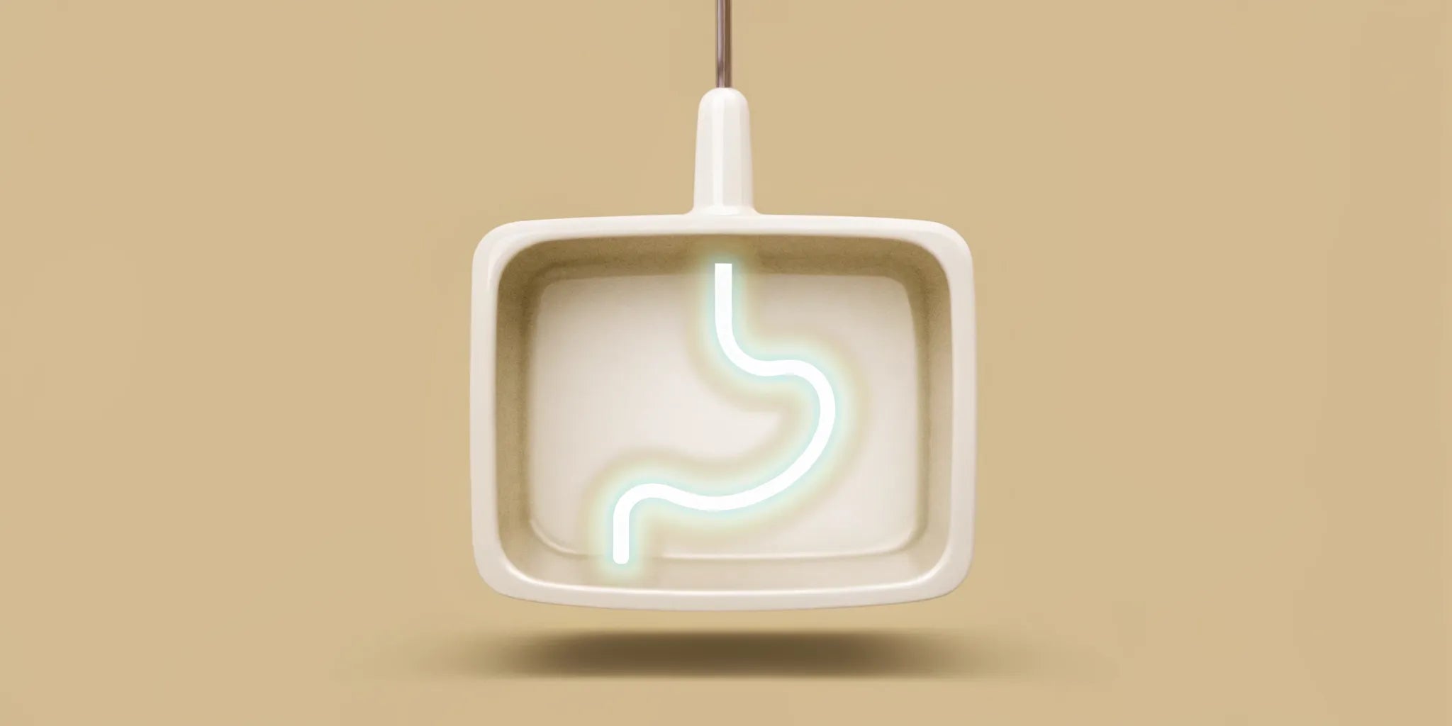 A neon stomach shape showing how gut health affects mood and energy.