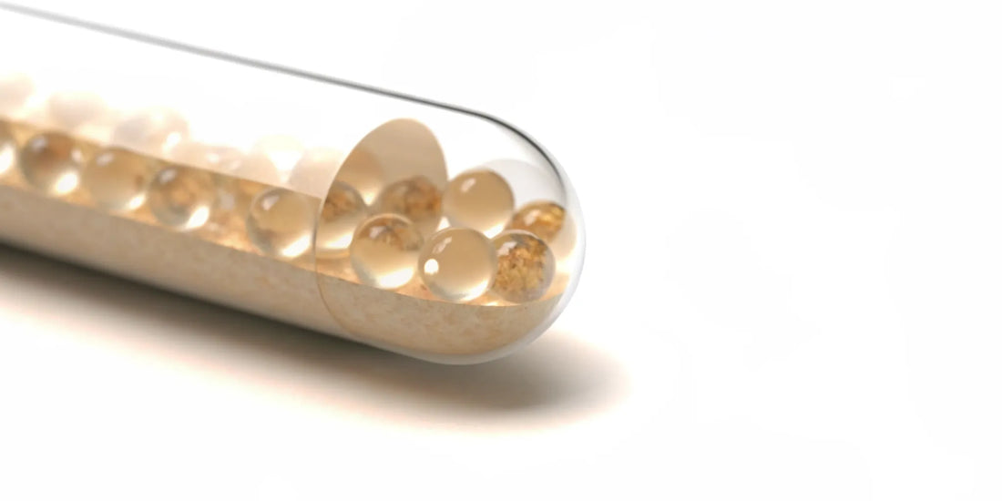 A clear postbiotic capsule with golden beads for intestinal health.