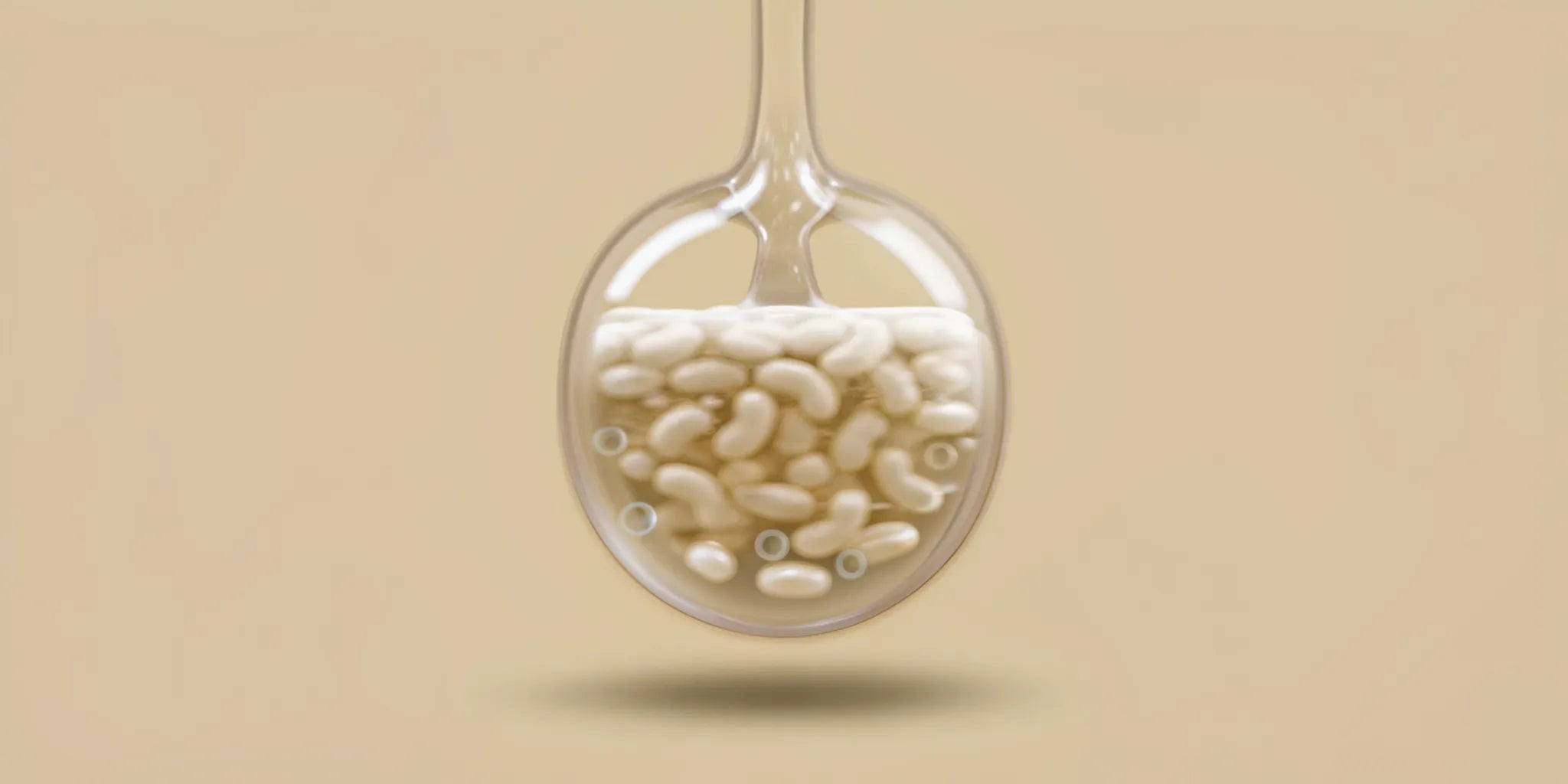 A spoonful of postbiotic capsules to support metabolic health.