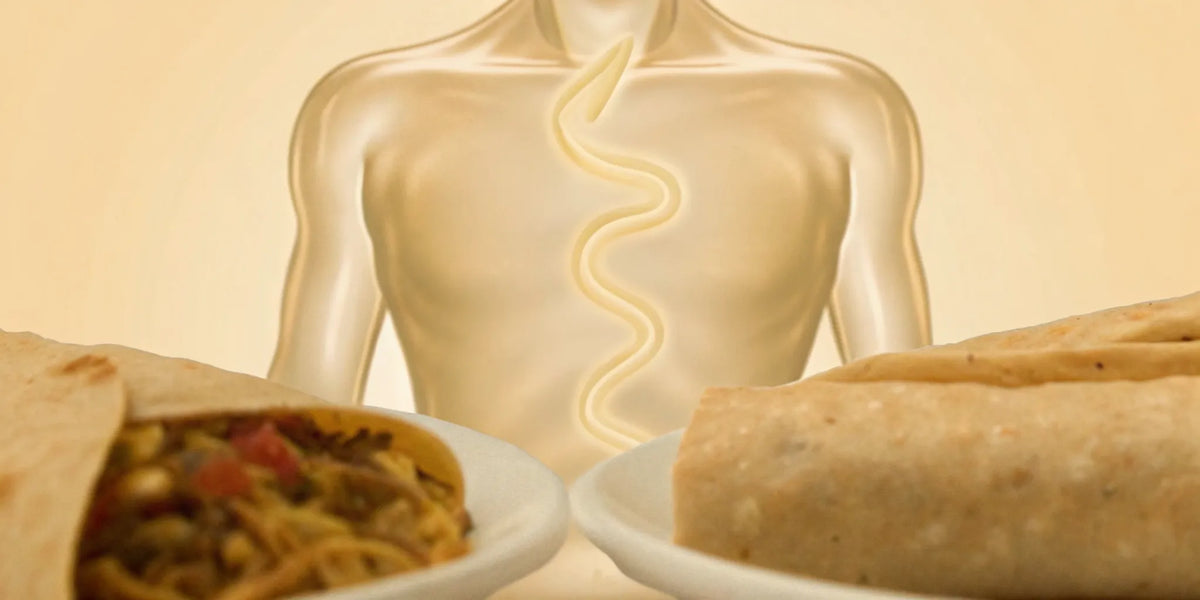 A meal of burritos next to a human digestive tract, which can feel unpredictable from one meal to the next.