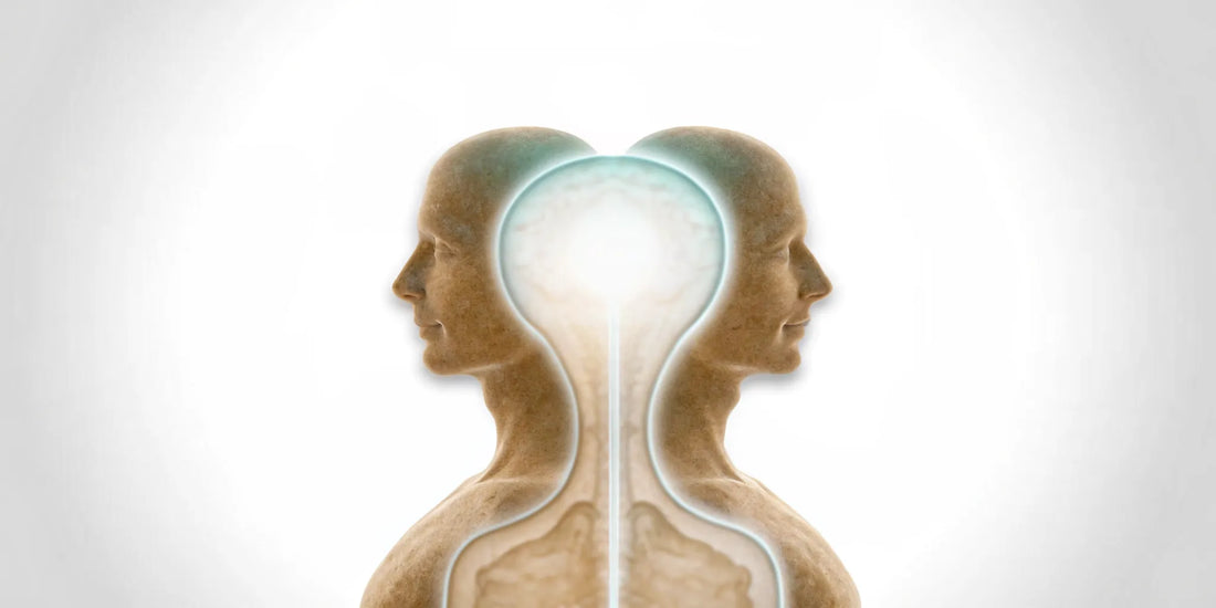 A glowing connection between the brain and gut, showing why the gut is considered the second brain.