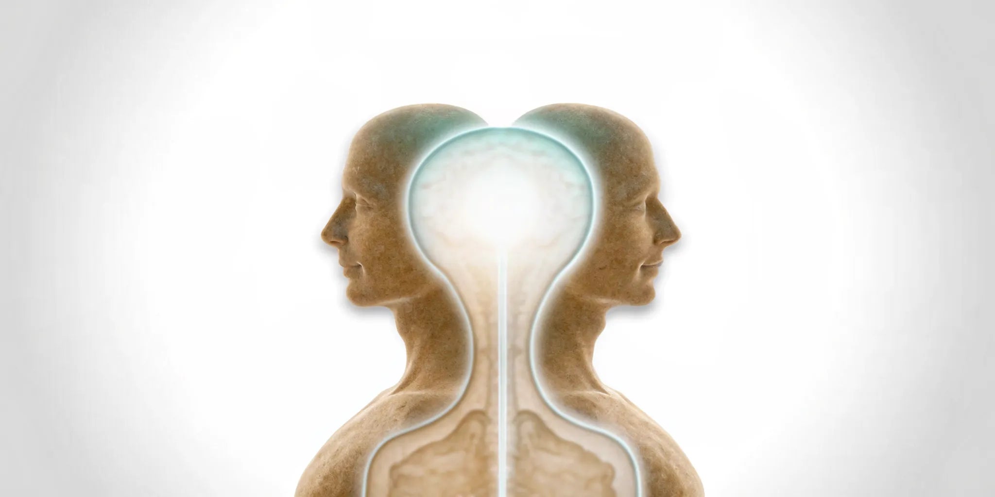 A glowing connection between the brain and gut, showing why the gut is considered the second brain.