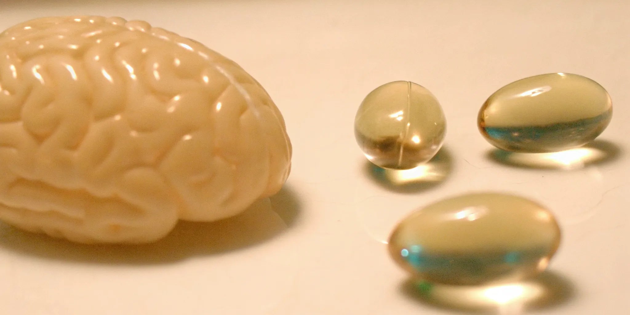 Brain model and postbiotic capsules for mood and anxiety.