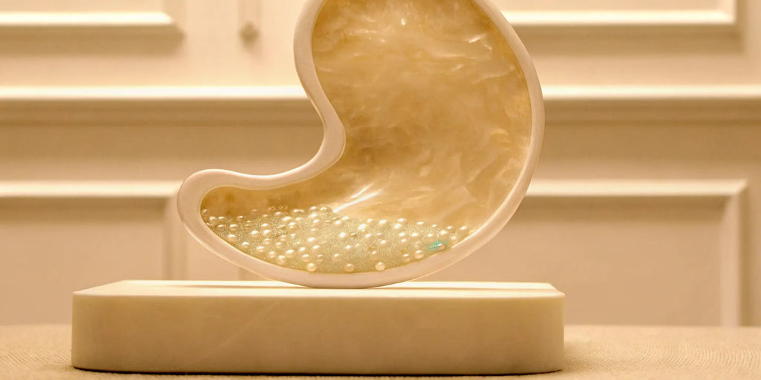 A stomach sculpture with pearls showing the benefits of postbiotics for stomach health.
