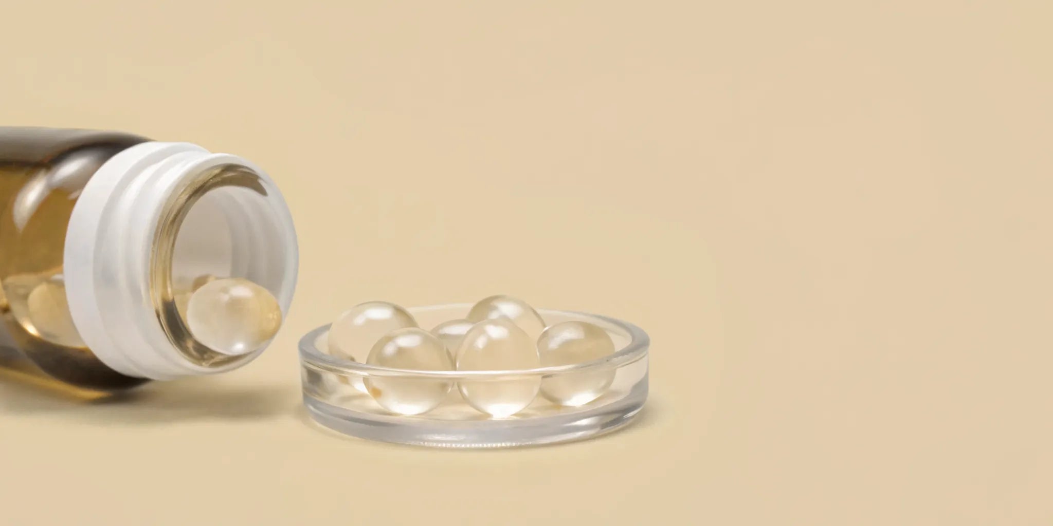 Clear postbiotics supplement capsules in a glass dish and bottle.