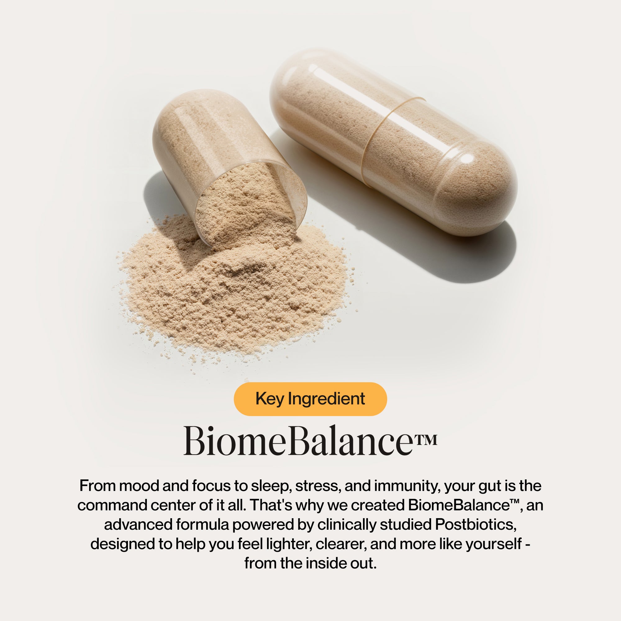 Gut Balance