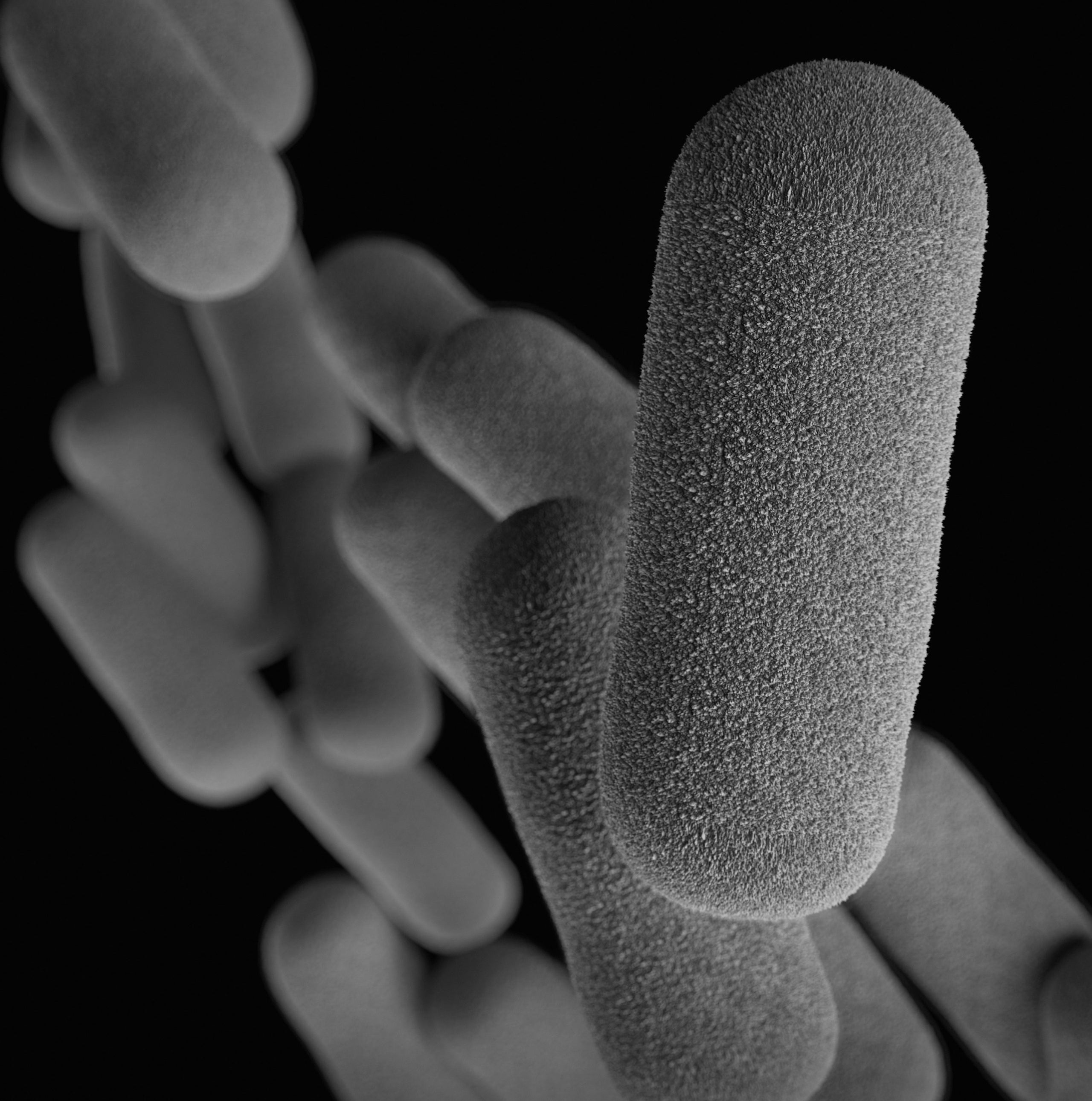 Probiotics are the process.Postbiotics are the payoff.