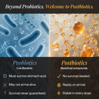 Gut Balance