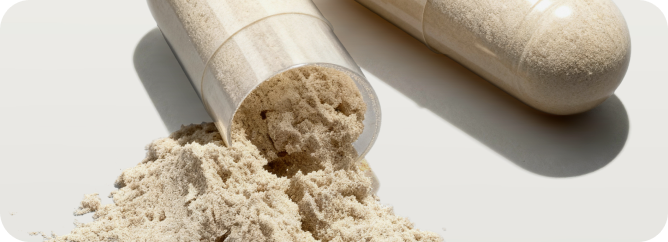 Research + Transparency