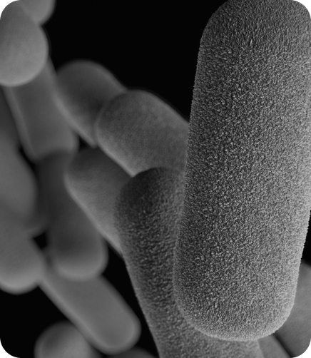 Inside the BiomeBalance™ Formula