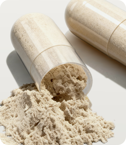 Research + Transparency