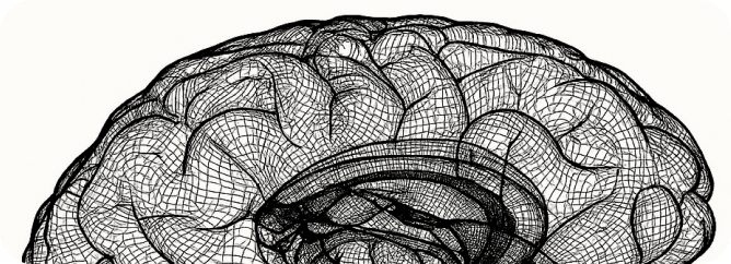 What is the gut–brain axis?