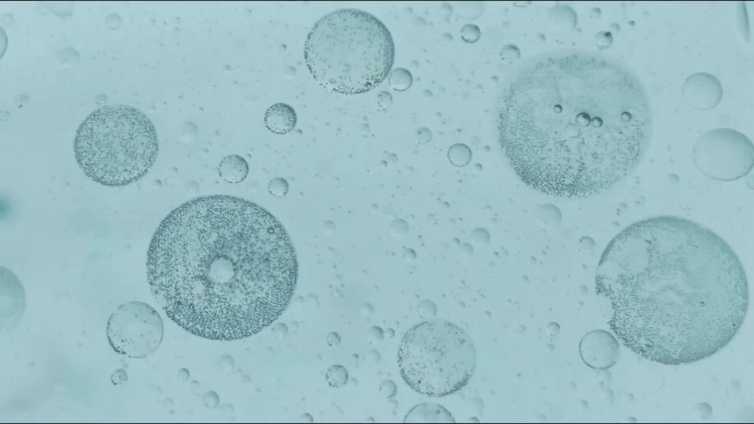 video_image