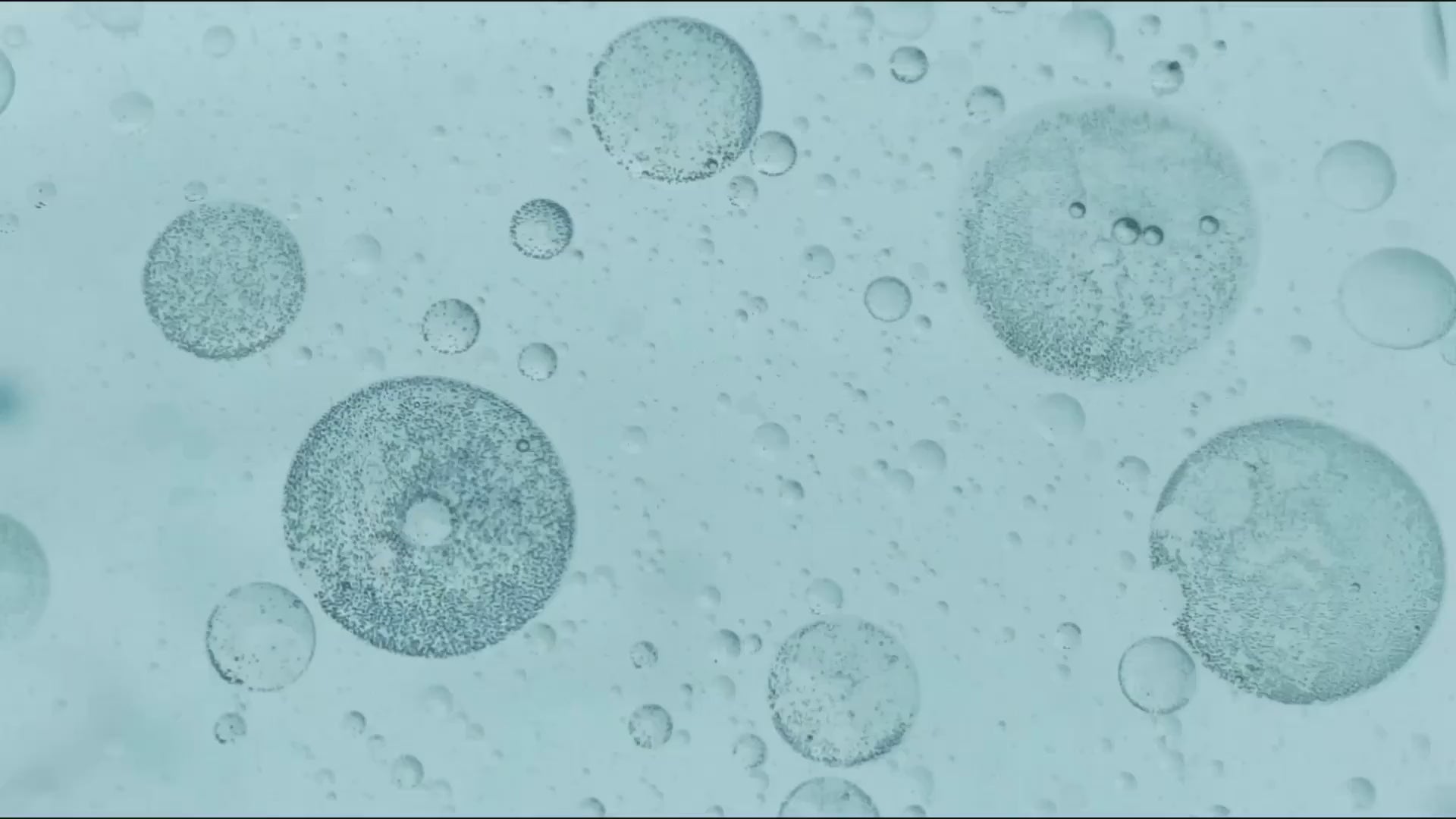 video_image